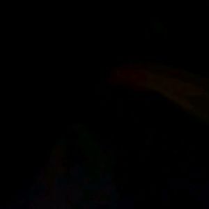 Meet your Posher, Tyj